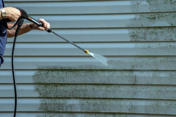 Best Fence Cleaning  in Ogden, IA