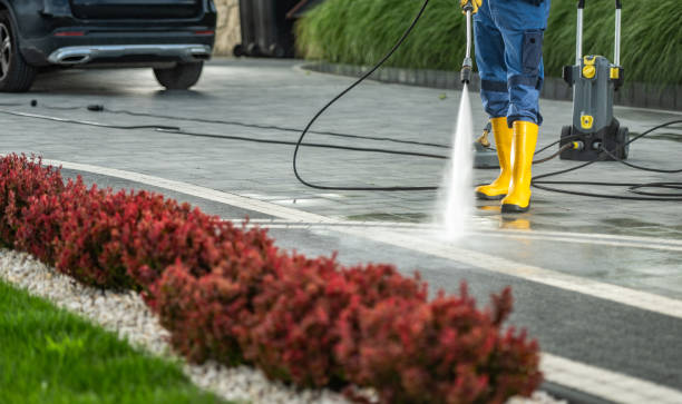 Best Dumpster Area Cleaning  in Ogden, IA