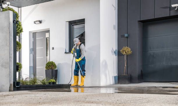 Best Solar Panel Cleaning  in Ogden, IA
